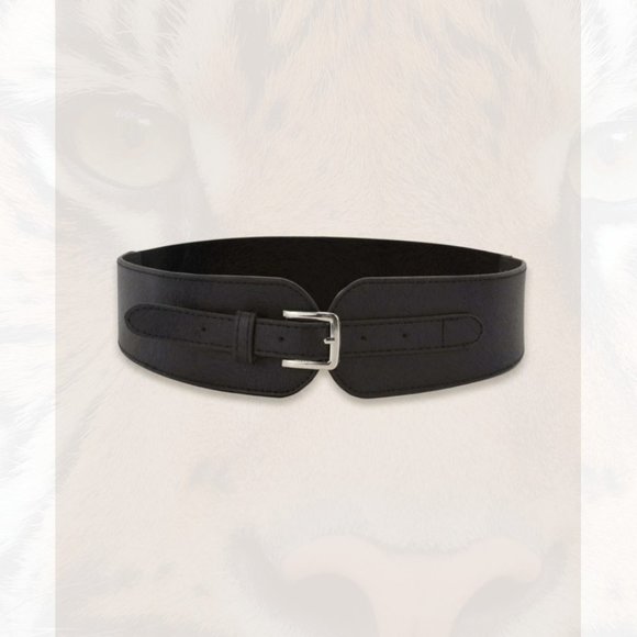 Accessories - New Metal Buckle Wide Belt 195